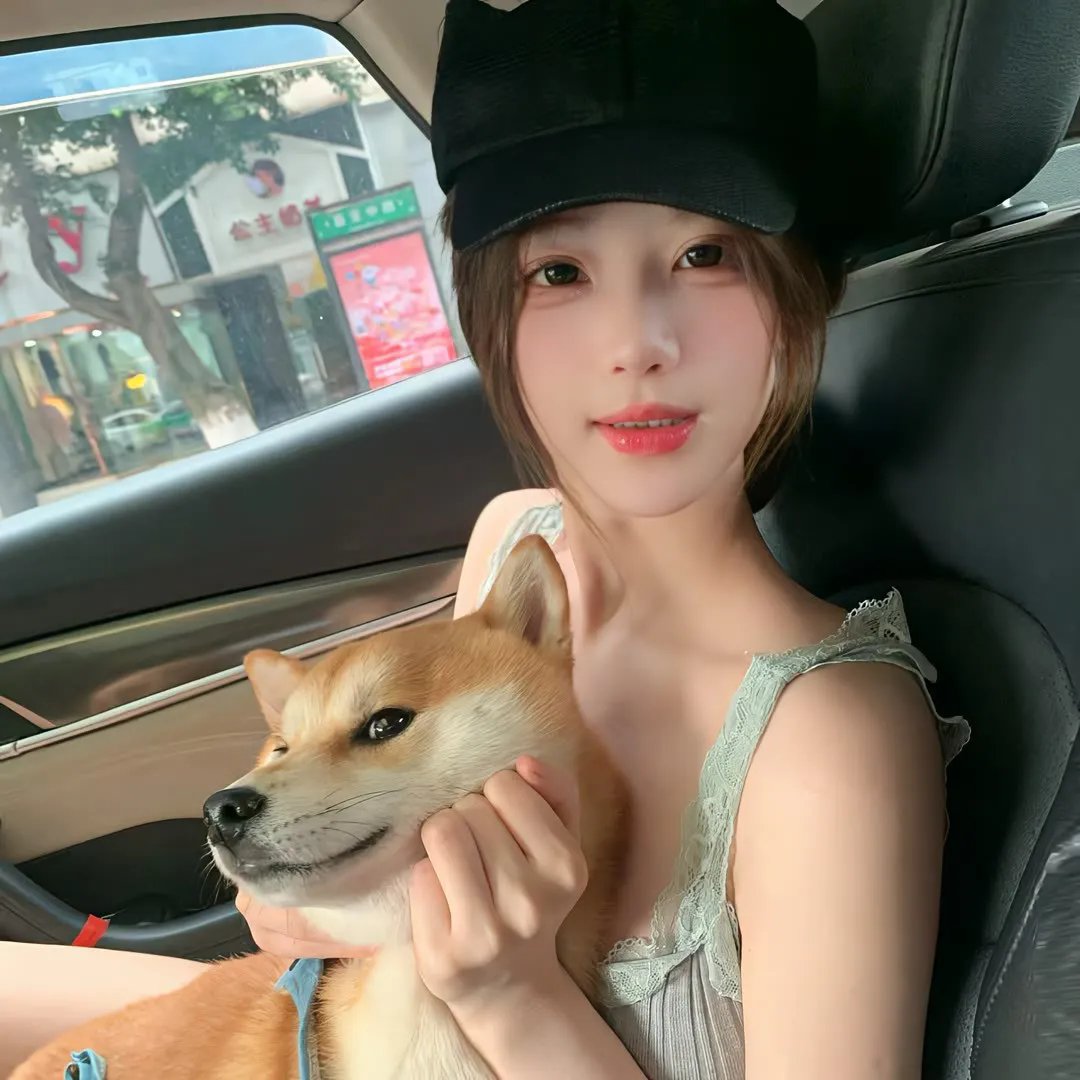 功夫熊猫第一季 海报